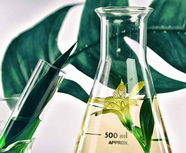 AXXSense, fragrance compounds, olfactory platform